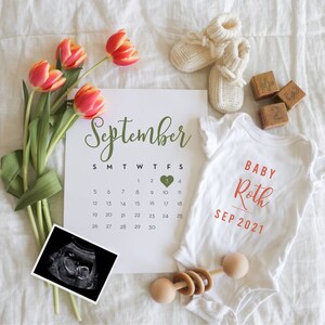 Spring Baby Announcement Digital File, Social Media Pregnancy ...