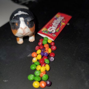 Maddi added a photo of their purchase