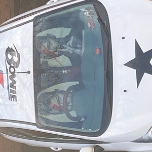 Sandrine added a photo of their purchase