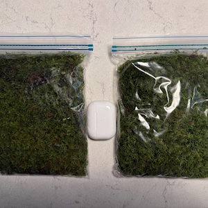 James added a photo of their purchase