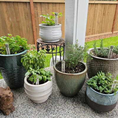 Herb Markers – Heather Lane Pottery
