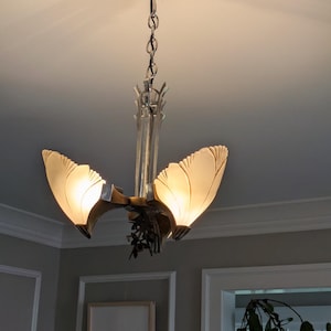 Sarah added a photo of their purchase