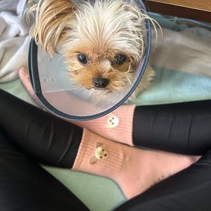 cerise added a photo of their purchase