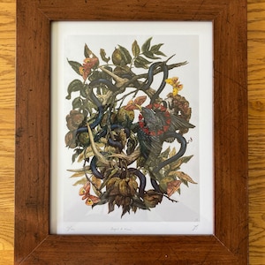 Mer added a photo of their purchase