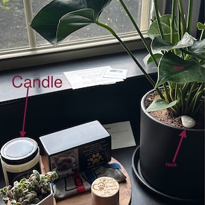 Lisa added a photo of their purchase