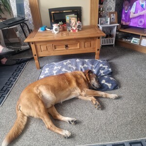 Brian dodał(a) zdjęcie swoich zakupów