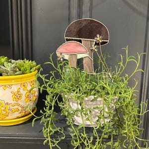 Annie added a photo of their purchase