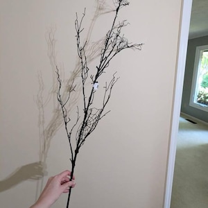 Caroline added a photo of their purchase