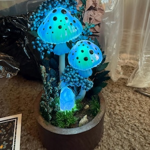 Amelia hat ein Foto des gekauften Artikels hinzugefügt