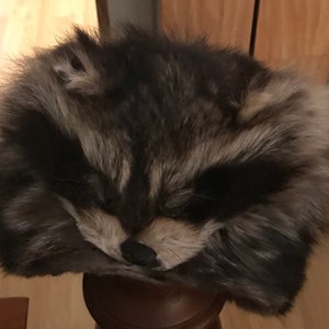 Steven added a photo of their purchase