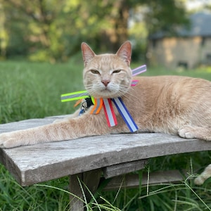 Sara hat ein Foto des gekauften Artikels hinzugefügt