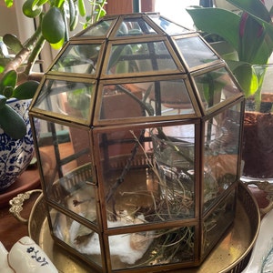Mary a ajouté une photo de son achat
