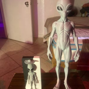 Adam added a photo of their purchase