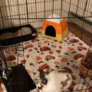 Jaime added a photo of their purchase