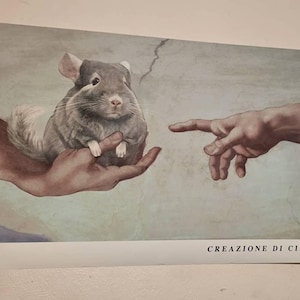 Melanie added a photo of their purchase