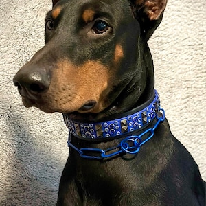 Laila added a photo of their purchase
