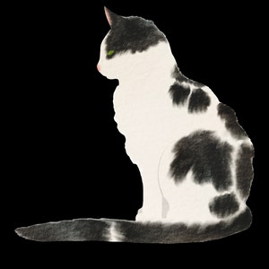 Brenda added a photo of their purchase