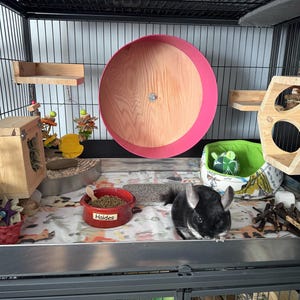 Anneliese added a photo of their purchase