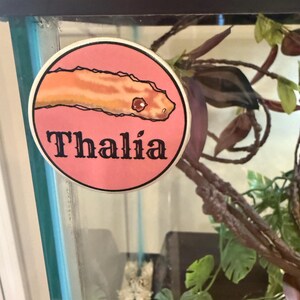 Etsy-koper heeft een foto van de aankoop toegevoegd