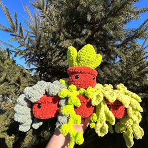 Dominic added a photo of their purchase