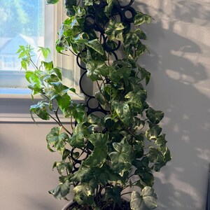 C added a photo of their purchase