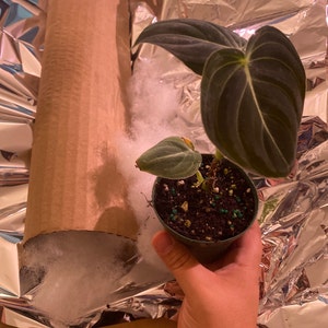 Acheteur Etsy a ajouté une photo de son achat