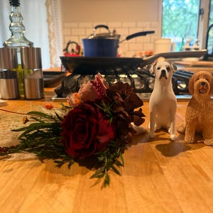 Angela added a photo of their purchase