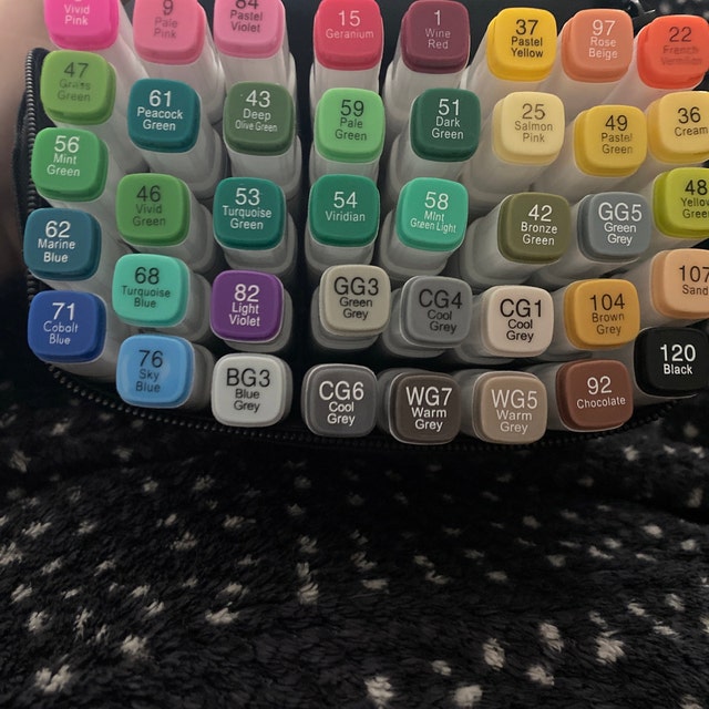 Abeier Advanced 80 1 colors, double tip alcohol can markers, plus 1 blender marker with thick pack, general markers for the Academy of Fine Arts