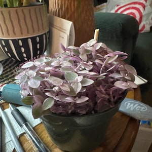 Gayle added a photo of their purchase