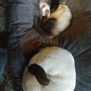 Comprador de Etsy ha añadido una foto de su compra