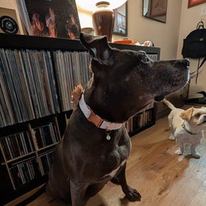 Etsy buyer added a photo of their purchase