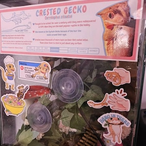 Fernwillow hat ein Foto des gekauften Artikels hinzugefügt