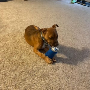 Griffin added a photo of their purchase