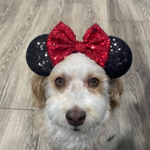 犬用ミッキー耳、ミッキー耳、犬用ミニー耳、マウス耳伸縮性ヘッド