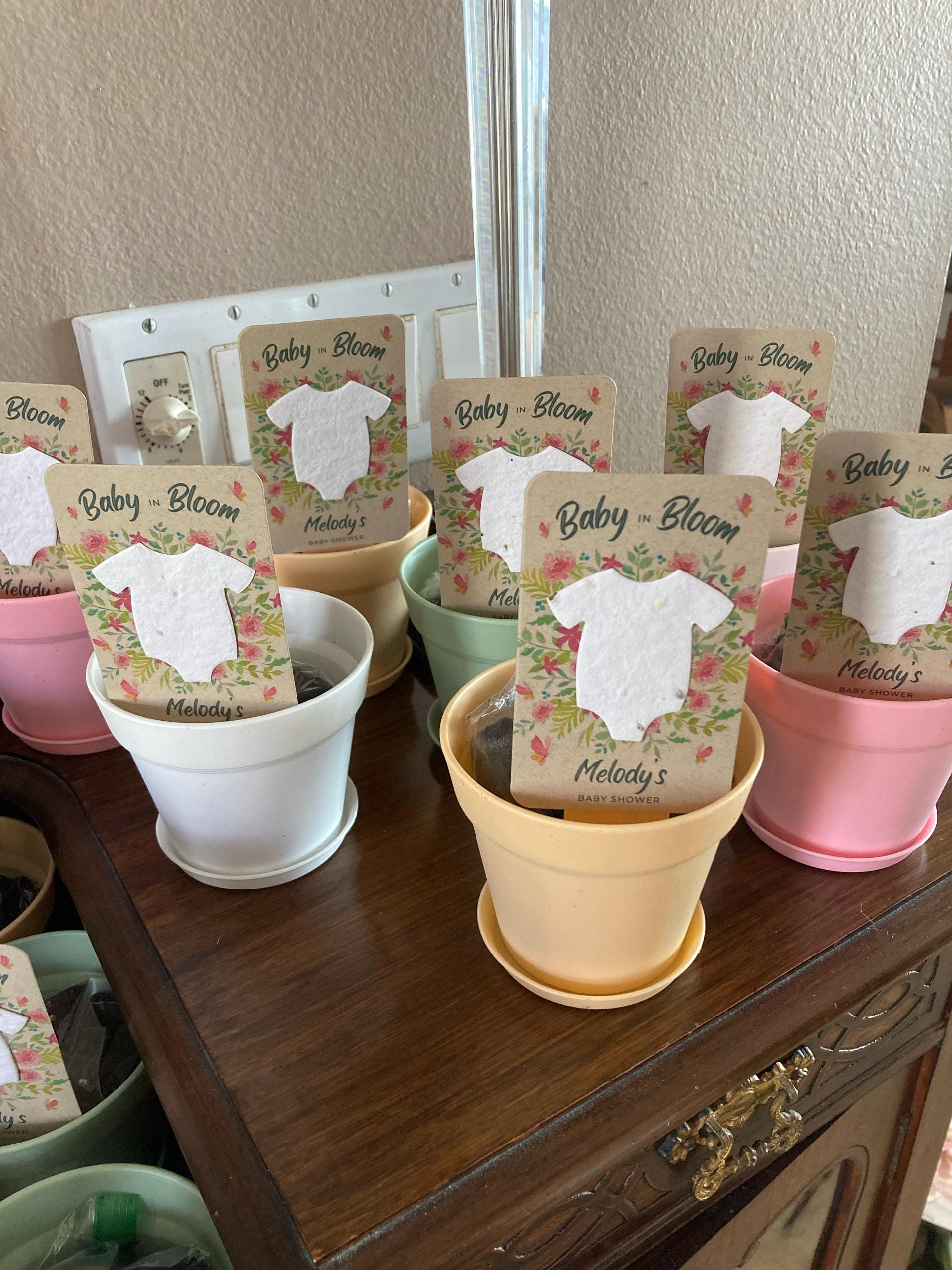 Baby In Bloom Baby Shower Favors For Guests - Wildflower Seed Packets Alternative - Good For Goodie Bags or Prizes