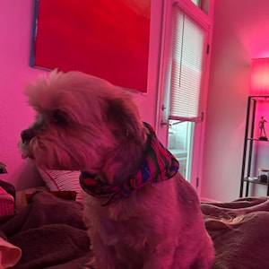 Paul ha añadido una foto de su compra
