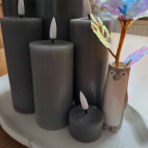 Janet added a photo of their purchase