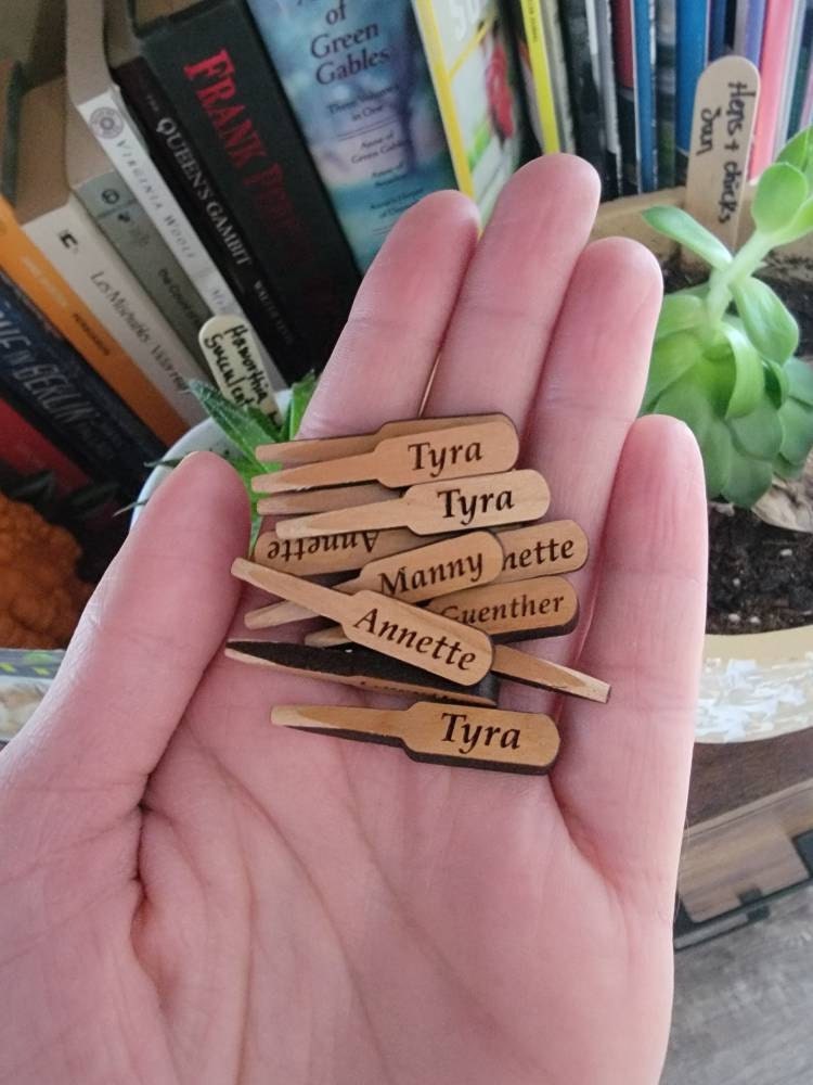 Your Name Cribbage Pegs, 3 Pegs Per Player, Custom Names/Words, Personalized Gift, Family Games, Wood Anniversary Gift, Fathers Day Gift