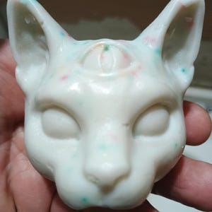 Paco added a photo of their purchase