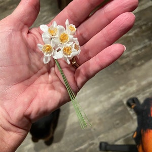Sue added a photo of their purchase