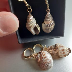 Julia added a photo of their purchase
