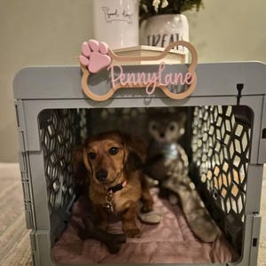 Brandie added a photo of their purchase