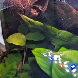 Melissa added a photo of their purchase