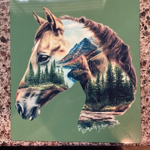 wezl added a photo of their purchase