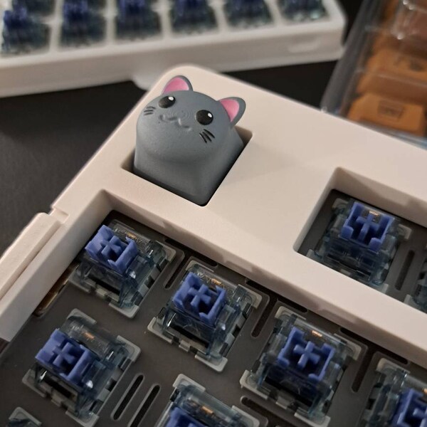 Keyboard Cat Face – Cat Keyboard Faces Copy Paste – FYNSR