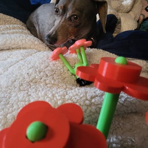 Patricia added a photo of their purchase