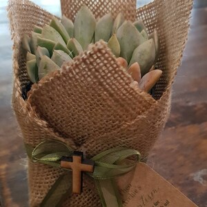 Vanessa W added a photo of their purchase