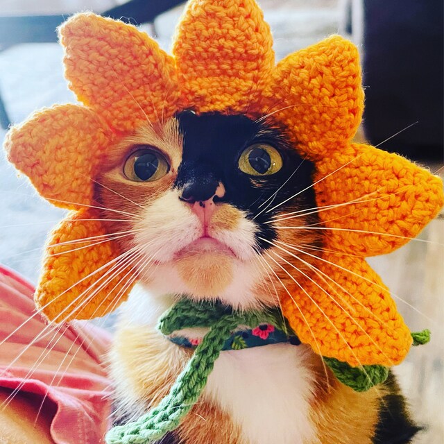 かぎ針編みのひまわり猫帽子、ペットコスチューム - Etsy 日本