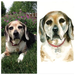 Megan Zupan added a photo of their purchase