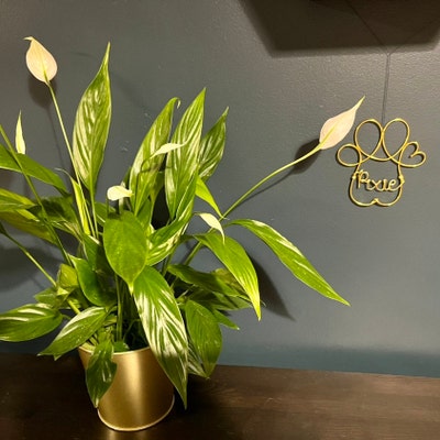 Miniature Wire Robin Sculpture Wire Robin Robin in Wire - Etsy UK